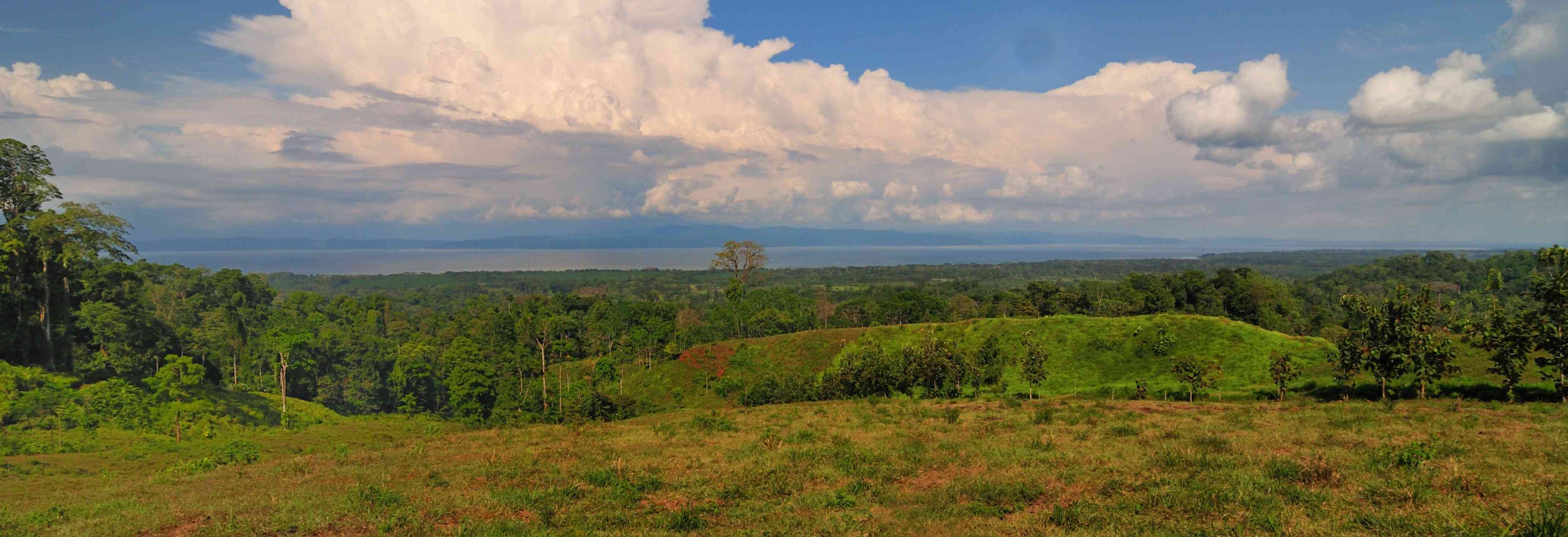 Oceanview, Costa Rica Real Estate, osa peninsula properties, oceanfront property, costa rica